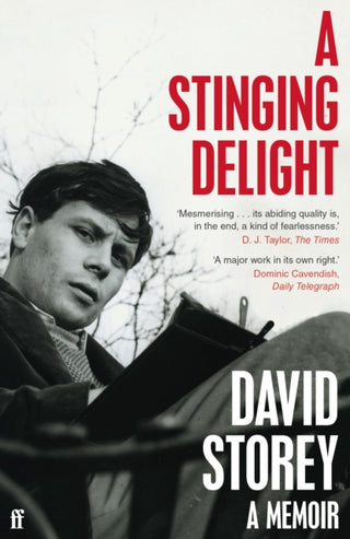 Cover image for 9780571360321 - A Stinging Delight