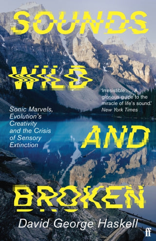 Cover image for 9780571362097 - Sounds Wild and Broken