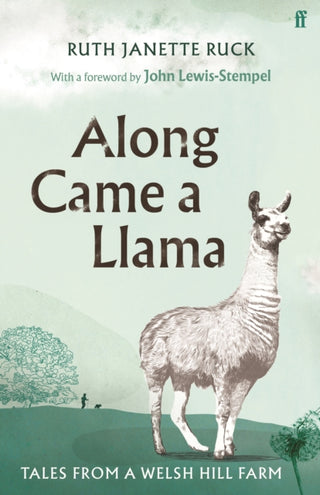 Cover image for 9780571363193 - Along Came a Llama
