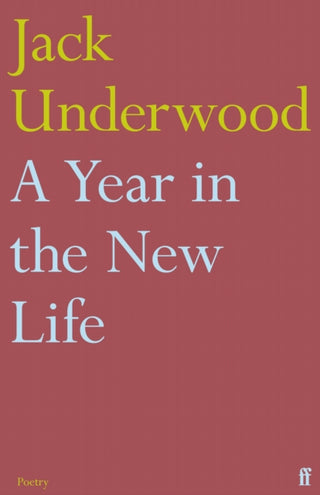 Cover image for 9780571367252 - A Year in the New Life