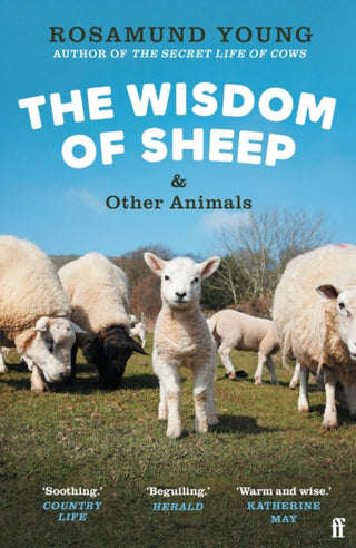 Cover image for 9780571368266 - The Wisdom of Sheep & Other Animals