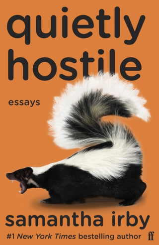 Cover image for 9780571374984 - Quietly Hostile