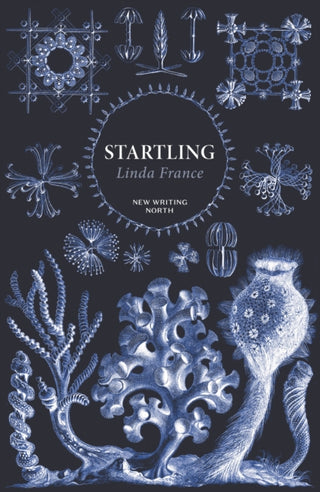 Supplemental image for 9780571379026 - Startling