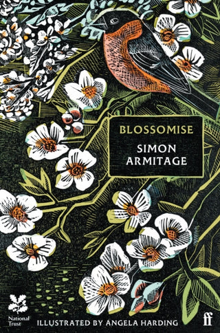 Cover image for 9780571388417 - Blossomise