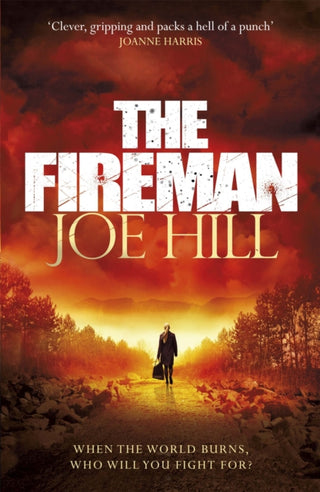 Cover image for 9780575130739 - The Fireman