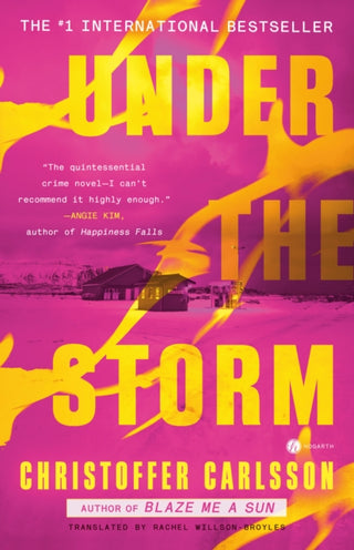 Cover image for 9780593449387 - Under the Storm