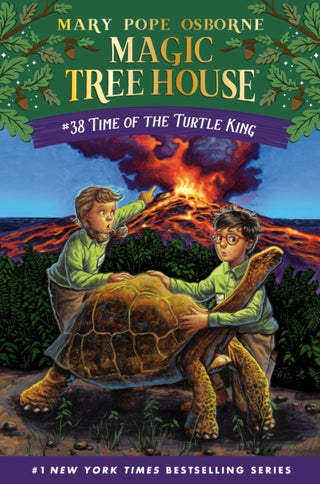 Cover image for 9780593488577 - Time of the Turtle King