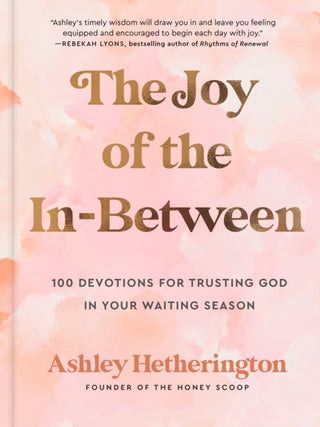 Cover image for 9780593600696 - The Joy of the In-Between