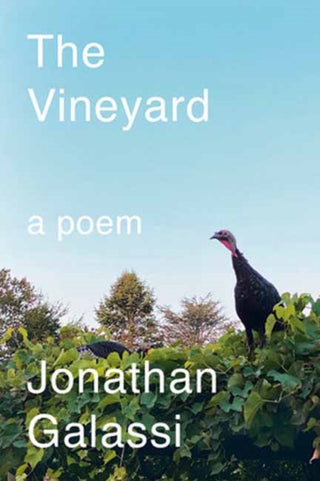 Cover image for 9780593803790 - The Vineyard