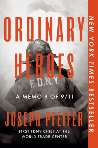 Cover image for 9780593852804 - Ordinary Heroes