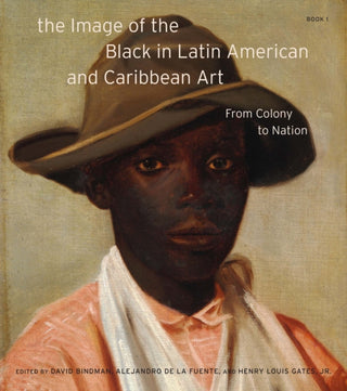 Cover image for 9780674248861 - The Image of the Black in Latin American and Caribbean Art