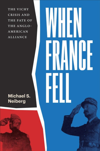 Cover image for 9780674293885 - When France Fell