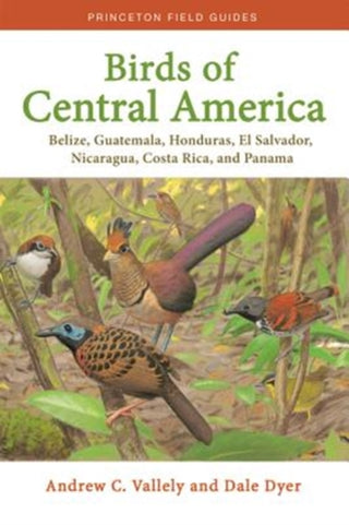 Cover image for 9780691138022 - Birds of Central America