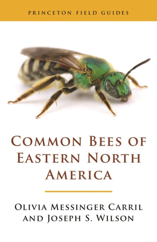 Cover image for 9780691175492 - Common Bees of Eastern North America