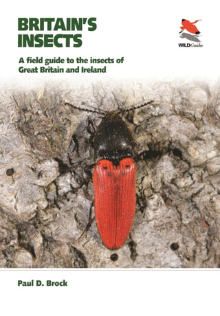 Cover image for 9780691179278 - Britain`s Insects – A Field Guide to the Insects of Great Britain and Ireland