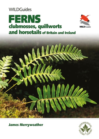Cover image for 9780691180397 - Ferns – Clubmosses, Quillworts and Horsetails of Britain and Ireland