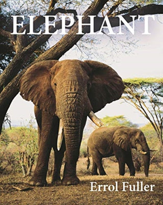Cover image for 9780691191324 - Elephant