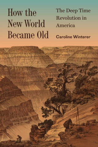 Cover image for 9780691199672 - How the New World Became Old