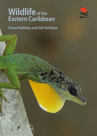 Cover image for 9780691199818 - Wildlife of the Eastern Caribbean