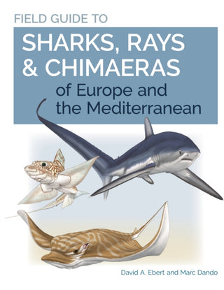 Supplemental image for 9780691205984 - Field Guide to Sharks, Rays & Chimaeras of Europe and the Mediterranean