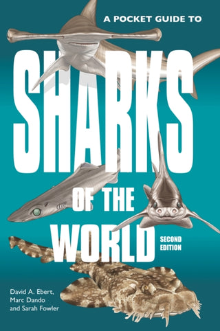 Cover image for 9780691218748 - A Pocket Guide to Sharks of the World