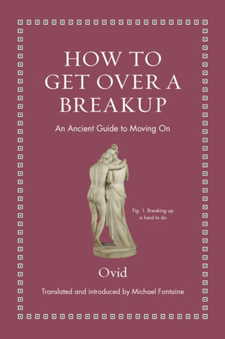 Cover image for 9780691220307 - How to Get Over a Breakup