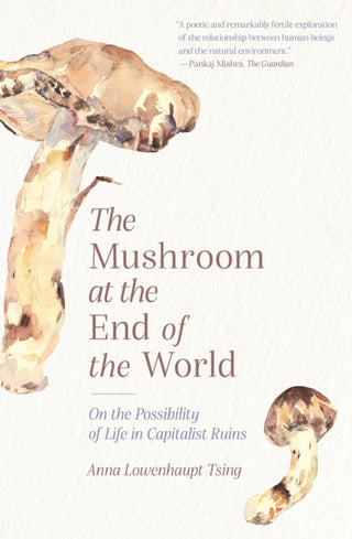 Cover image for 9780691220550 - The Mushroom at the End of the World – On the Possibility of Life in Capitalist Ruins