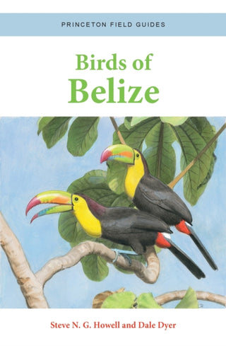 Cover image for 9780691220727 - Birds of Belize