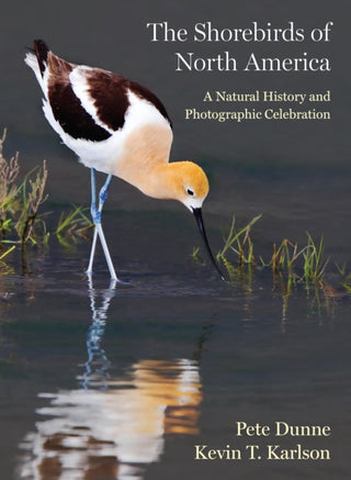 Cover image for 9780691220956 - The Shorebirds of North America – A Natural History and Photographic Celebration