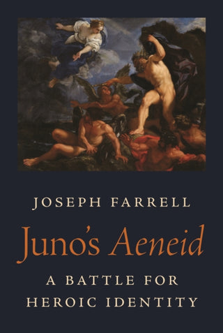 Cover image for 9780691221250 - Juno's Aeneid