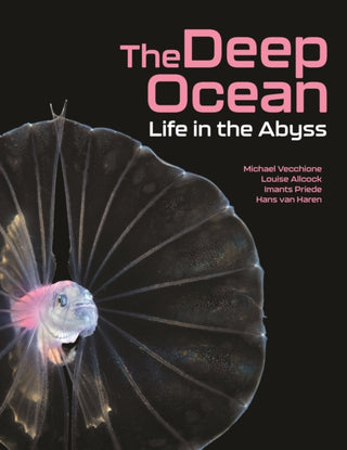 Supplemental image for 9780691226811 - The Deep Ocean