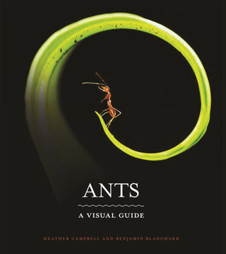 Cover image for 9780691228525 - Ants