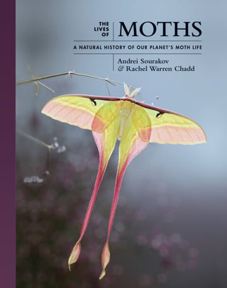 Cover image for 9780691228563 - The Lives of Moths