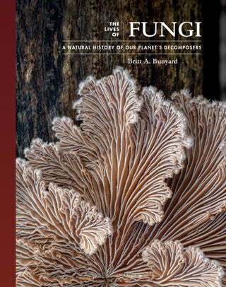 Cover image for 9780691229843 - The Lives of Fungi