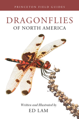 Cover image for 9780691232874 - Dragonflies of North America