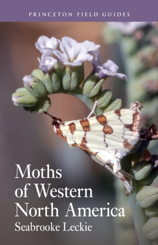Cover image for 9780691232881 - Moths of Western North America
