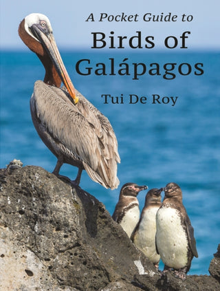 Cover image for 9780691233635 - A Pocket Guide to Birds of Galapagos