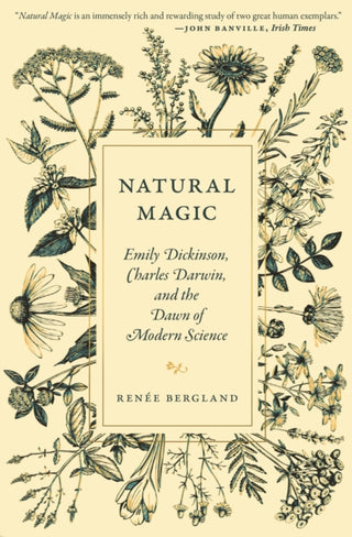 Cover image for 9780691235301 - Natural Magic