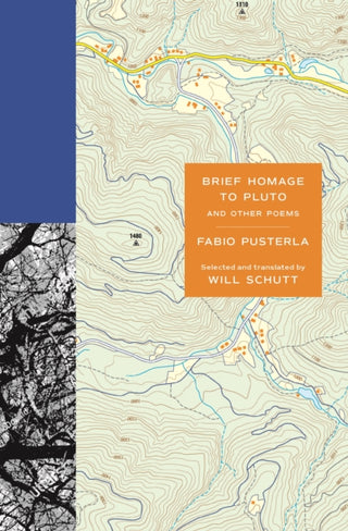 Cover image for 9780691245096 - Brief Homage to Pluto and Other Poems