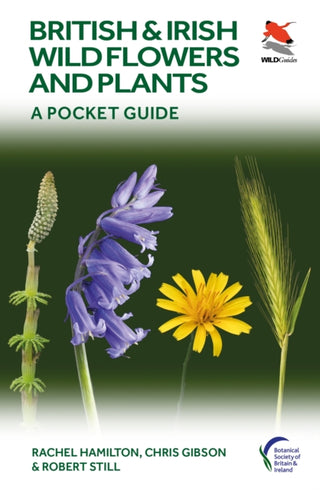 Cover image for 9780691245409 - British and Irish Wild Flowers and Plants – A Pocket Guide
