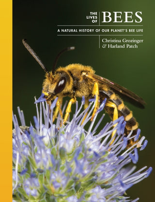 Cover image for 9780691247298 - The Lives of Bees – A Natural History of Our Planet′s Bee Life