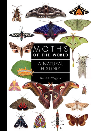 Cover image for 9780691248288 - Moths of the World