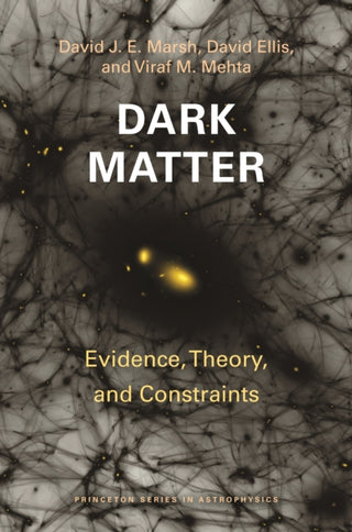 Cover image for 9780691249520 - Dark Matter