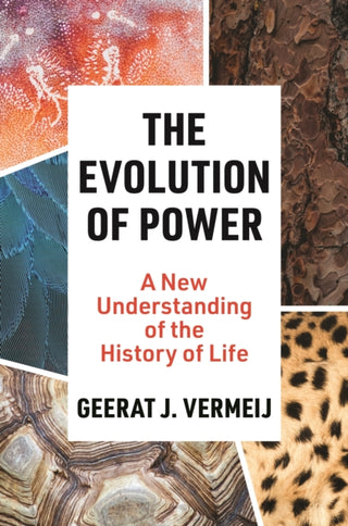 Cover image for 9780691250427 - The Evolution of Power