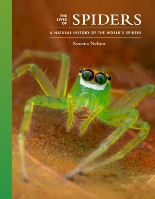 Cover image for 9780691255026 - The Lives of Spiders