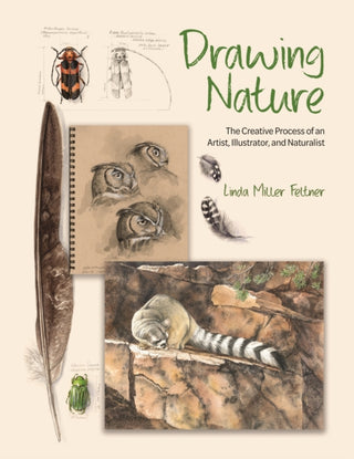 Cover image for 9780691255385 - Drawing Nature