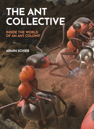 Cover image for 9780691255927 - The Ant Collective – Inside the World of an Ant Colony