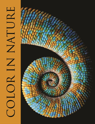 Supplemental image for 9780691258614 - Color in Nature