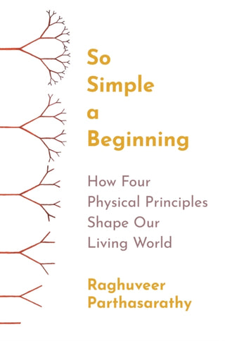 Cover image for 9780691258676 - So Simple a Beginning – How Four Physical Principles Shape Our Living World