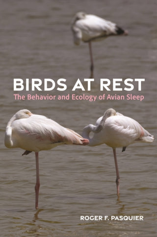 Cover image for 9780691259963 - Birds at Rest